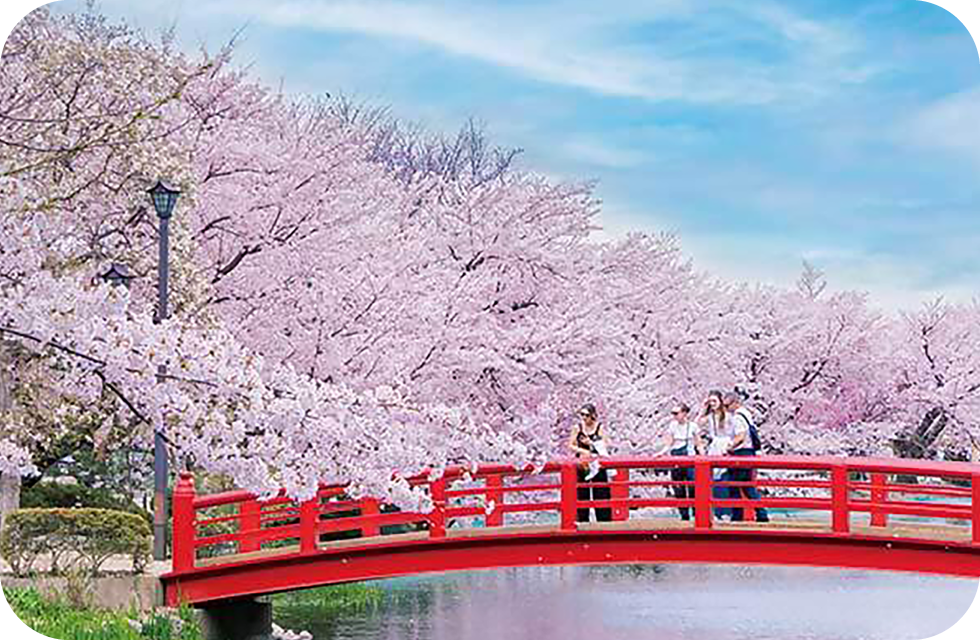 写真：臥竜公園